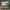 599101021-29